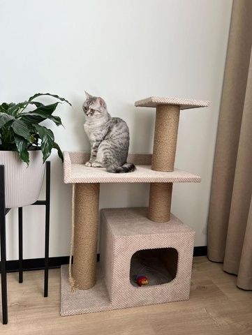 Кігтеточка з будиночком та лежанкою для кота 85*55*35 см Бежевий